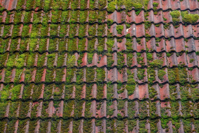 Préservez votre maison avec un traitement de toiture à La Loupe